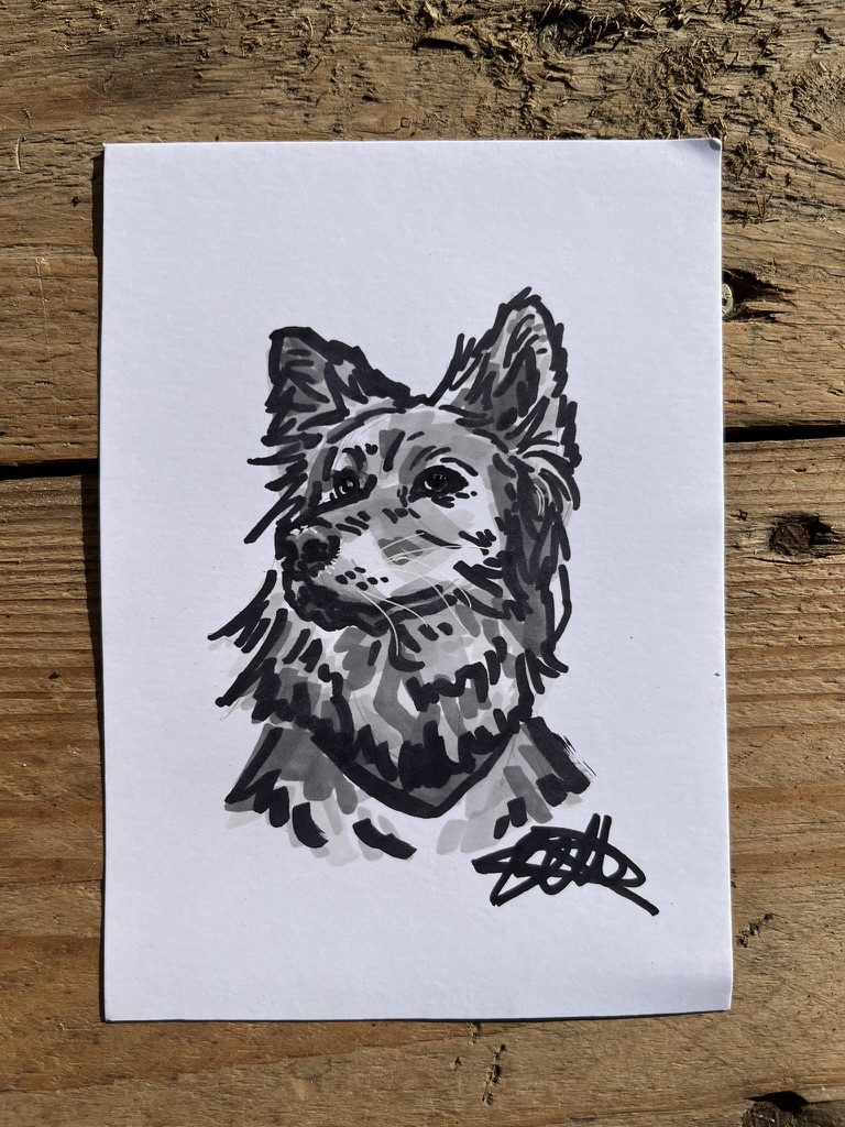 Doggy Doodle